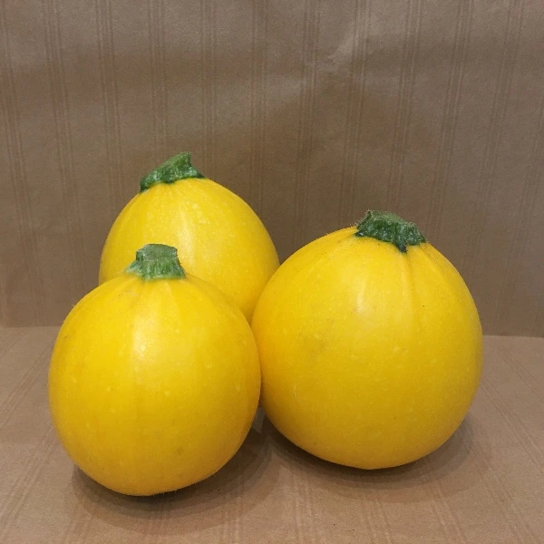 Courgette ronde jaune