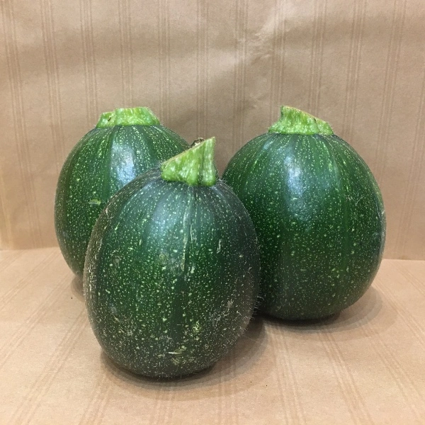 Courgette ronde verte