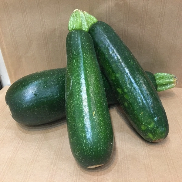 Courgette