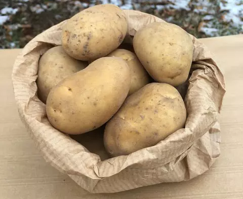 Pomme de terre mona lisa