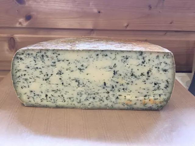 Tomme à l'ail des ours