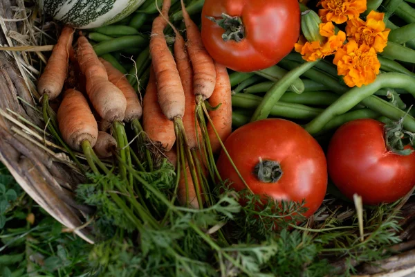 Produits frais de saison près du Havre